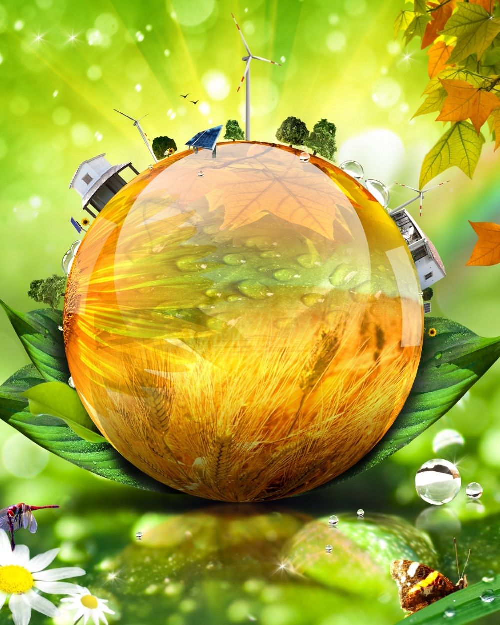 Mission – Our Purpose